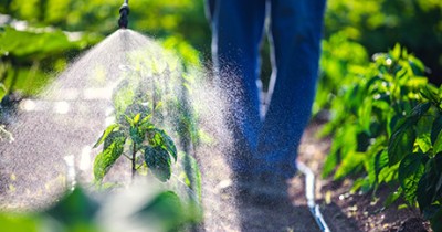 Pesticide detection in water