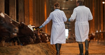 Identificación de diferencias genéticas 