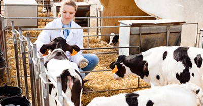 Identification of viruses