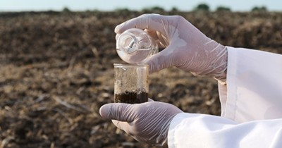 Detection of fuel oil in the soil