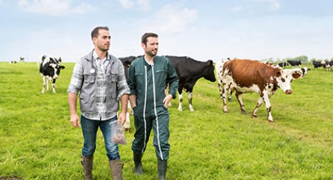 Preventive feed analysis