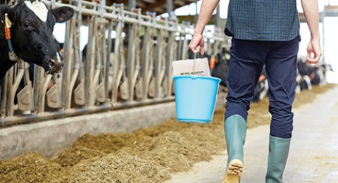 Échantillonnage de surface