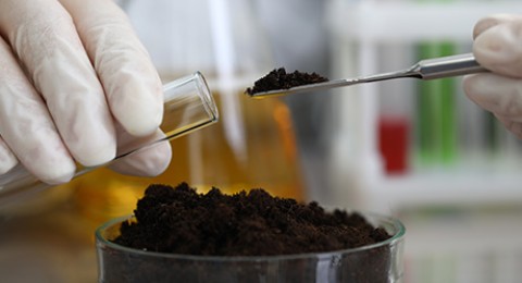 Analyse du microbiome des sols