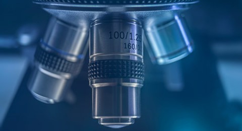 Garantía de esterilidad 