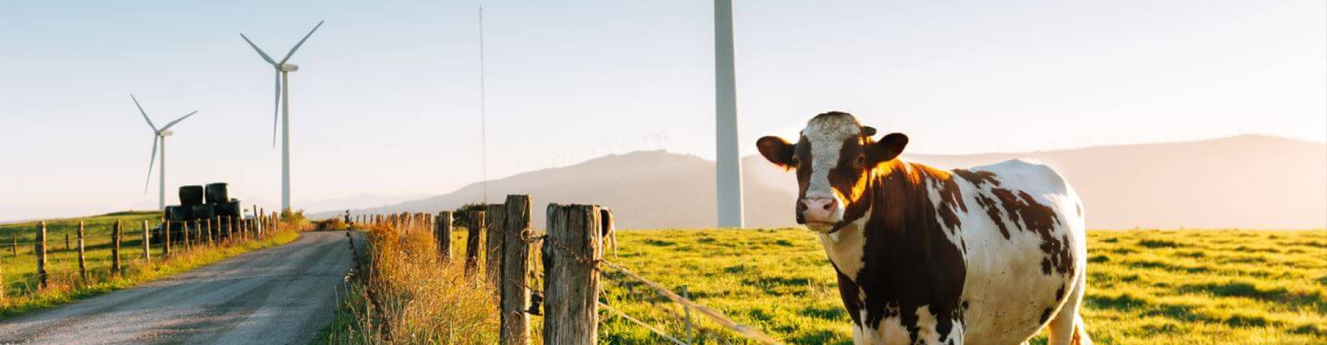 Imprescindible en las industrias ganadera y científica