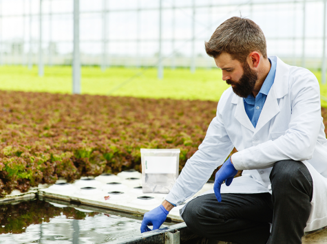 Facilita y acelera el proceso de análisis