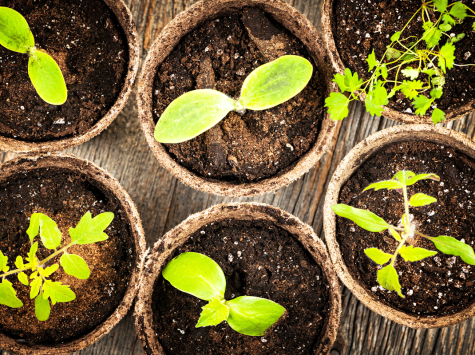 Plástico biodegradable para un muestreo ecológico responsable