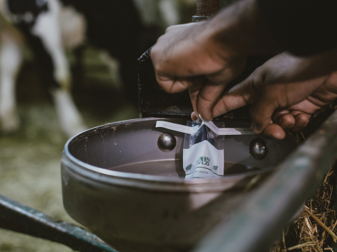 Analyse d'eau provenant de différentes sources