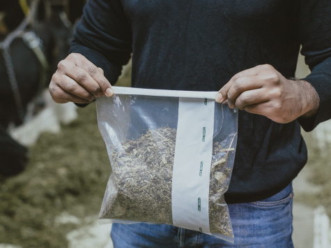 Sistema de cierre seguro