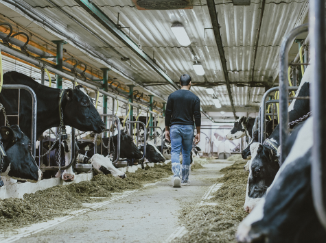 Simultaneous sample collection and inspection